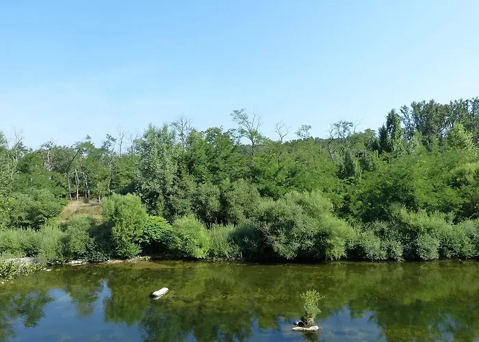 Logis Restaurant Les Cedres Жуайёз